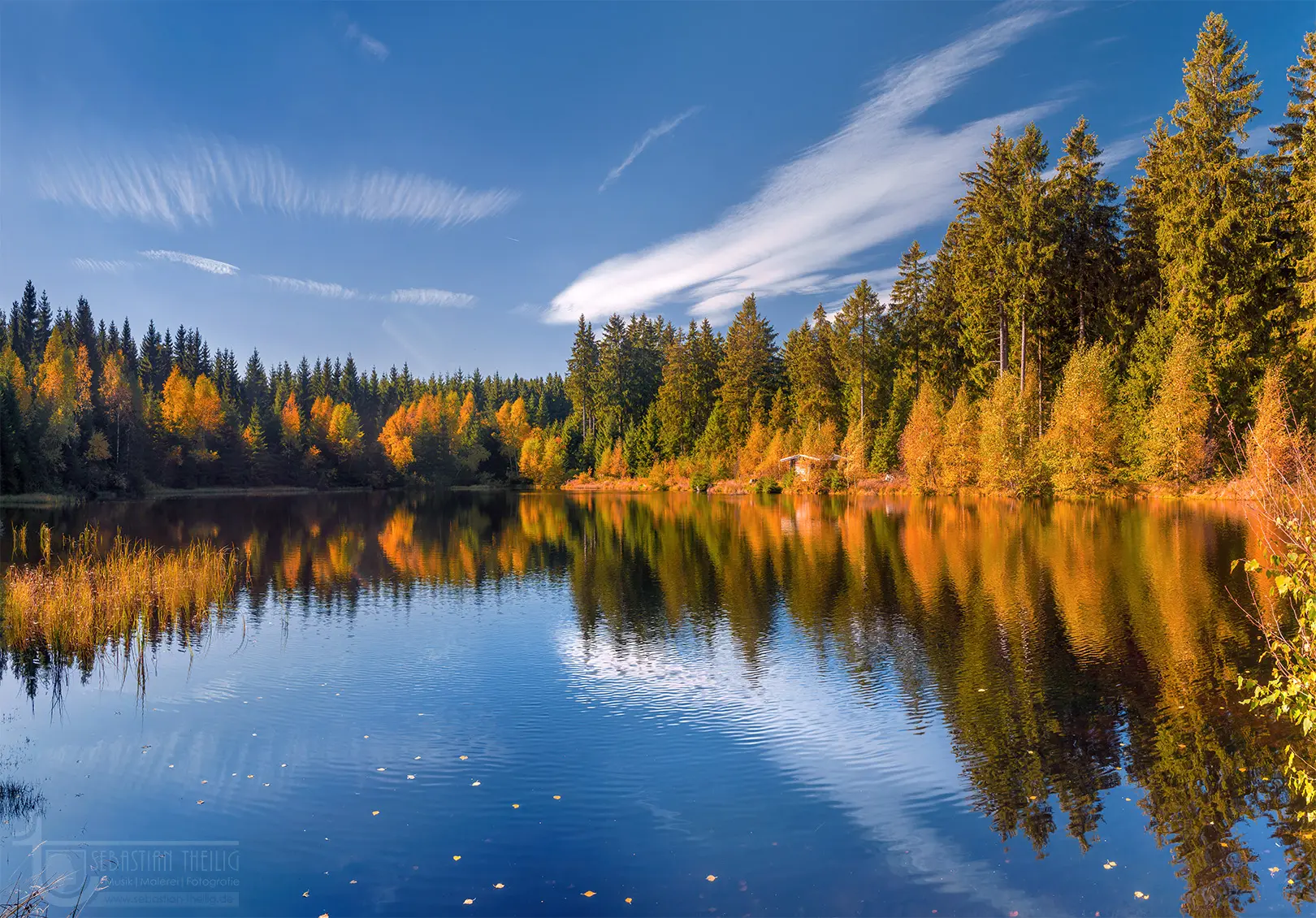 Waldsee mit Spiegelungen von Bäumen im Herbst