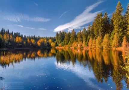 Waldsee mit Spiegelungen von Bäumen im Herbst