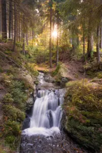 Wasserfall oder Bach im Wald