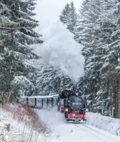 Dampflok im Winterwald