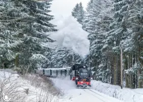 Dampflok im Winterwald