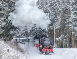 Dampflok im Schnee