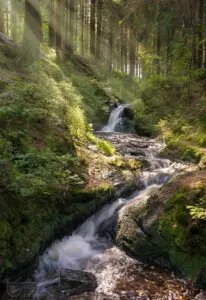 Wasserfall im Wald mit Sonnenstrahlen