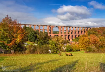Eisenbahnbrücke im Herbst mit Schafen