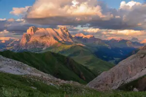2493341018