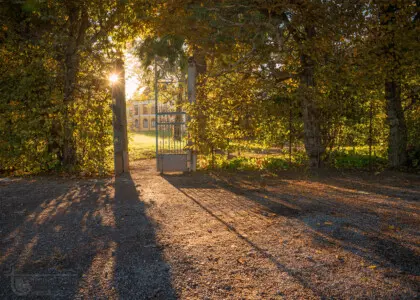 Tor mit Sonnenstrahlen im Park